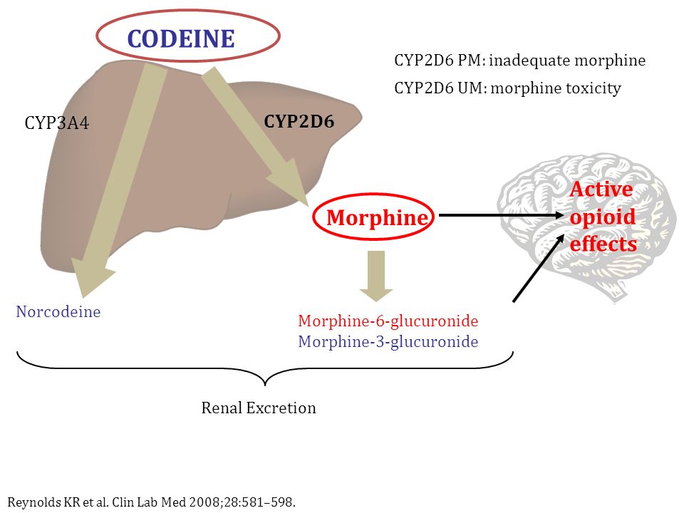 cyp2d6 effect on codeine
